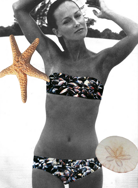 "Shell" image 0