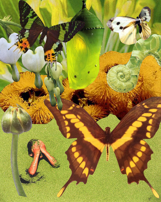 "Still Growing" image 0